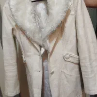 پالتو بچه گانه