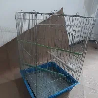 قفس|لوازم جانبی حیوانات|همدان, |دیوار