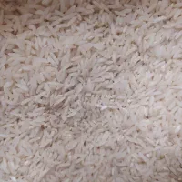 برنج طارم هاشمی آمل