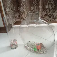 تنگ ماهی