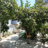 اجاره کوتاه مدت سوییت