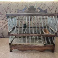 قفس|لوازم جانبی حیوانات|سیرجان, |دیوار