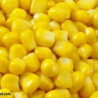 پخش ذرت مکزیکی کارخانه ای
