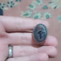 انگشتر شجر تک درخت