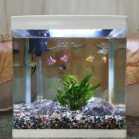 آکواریوم دلسا k320