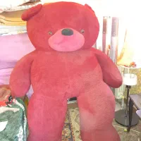 عروسک دومتری به دلیل مهاجرت میفروشم