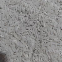 برنج فجر تالش خوش‌پخت