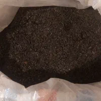 پخش چای درجه یک مستقیم از کارخانه