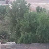 ملک چند منظوره|فروش دفتر صنعتی، کشاورزی، تجاری|دزفول, |دیوار