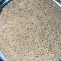 برنج ندا