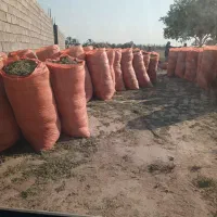 فروش یونجه قیمت مناسب