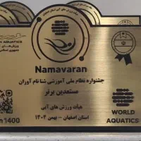 حکاکی لیزری روی چوب، مولتی و فلز با قیمت مناسب