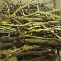 فروش چوب باغی