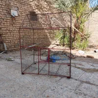 قفس بزرگ