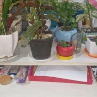 میز کامپیوتر