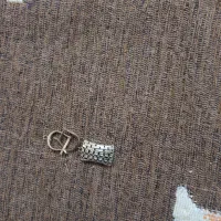 کوشواره گم شده