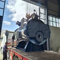 فورش فوری دیگ بخار با طراحیwet-back/3/4/5 ton