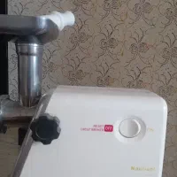 چرخ گوشت سالم