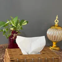 هنر دست|صنایع دستی و سایر لوازم تزئینی|سیرجان, |دیوار