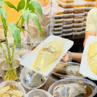 دهکده عسل برازجان خ فردوسی