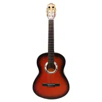 گیتار حرفه ای دیاموند