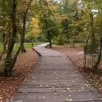 تور در شهر گرگان