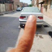 سمند X7 بنزینی، مدل ۱۳۸۵|خودرو سواری و وانت|دزفول, |دیوار