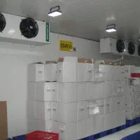 2926 طراحی و اجرای انواع 2926 سردخانه 2926|ماشینآلات صنعتی|ایلام, |دیوار