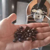 پخش‌ عمده و جزئی قهوه تازه رست شده در گیلان|خوردنی و آشامیدنی|رشت, گلسار|دیوار