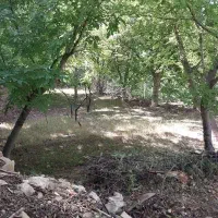 باغ-شهمیرزاد