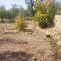 فروش زمین جهت ویلا سازی یا باغچه واقع در بنادکوک|فروش زمین و ملک کلنگی|نیر (یزد), |دیوار