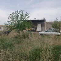 فروش باغ پسته|فروش خانه و ویلا|زنجانرود, |دیوار