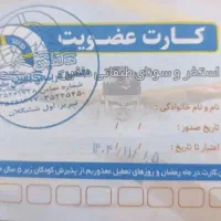 کارت استخر دلفین