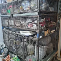 قفس حرفه ای نگهداری سگ مرغ و انواع پرنده ها|لوازم جانبی حیوانات|داراب, |دیوار