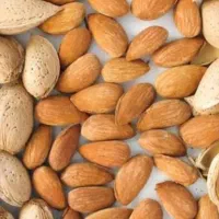 باددام . گردو