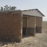 باغ پسته 34هزار متر کاشان|فروش دفتر صنعتی، کشاورزی، تجاری|کاشان, مشکات|دیوار