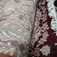 قالی|فرش|تربت جام, معدآباد|دیوار