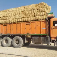 فروش پوشال یا سیفال برنج و کاه گندم|عمدهفروشی|یزد, |دیوار