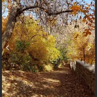 زمین لواسان برگ جهان ۲۰۰۰ متر