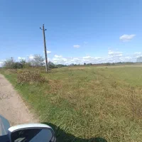 5 هزار متر زمین شالیزار/مکانیزه در لفمجان|فروش دفتر صنعتی، کشاورزی، تجاری|لاهیجان, لفمجان|دیوار