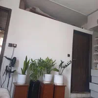 اجاره منزل سوئیت مبله آپارتمان شخصی روزانه ماهانه|اجارهٔ کوتاه‌مدت آپارتمان و سوئیت|مشهد, طبرسی شمالی|دیوار