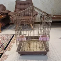 قفس طوطی عروس هلندی و...