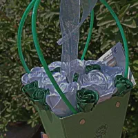گل روبانی