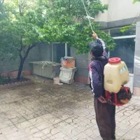 باغبانی در تهران و حومه