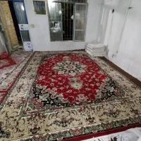قالی|فرش|ازنا, |دیوار