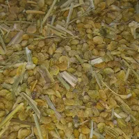 دانه یونجه و خشه محلی