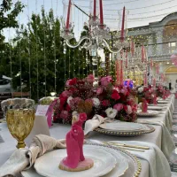 ظروف تولد|خدمات پذیرایی، مراسم|تهران, ولنجک|دیوار