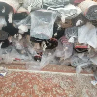 فروش فرش قالی با 30%تخفیف بعلت جمع آوری مغازه|فرش|اصفهان, لیمجیر|دیوار