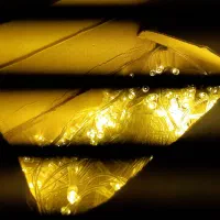 لامپ رسیه ای ال ای دی متری زرد ۵۰متری|ریسه و چراغ تزئینی|اردبیل, |دیوار