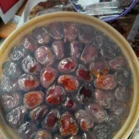 خرما برحی و خرما زاهدی جنوب